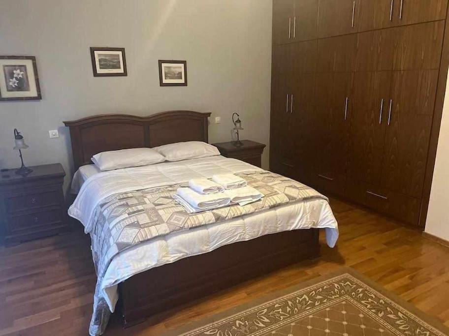 Το Σπίτι Του Μύλου Των Ξωτικών Vila Trikala  Exterior foto